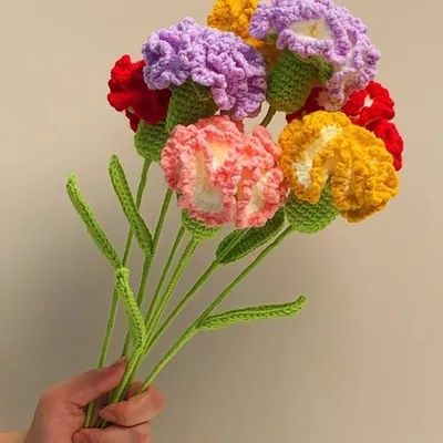 Hoa cẩm chướng len