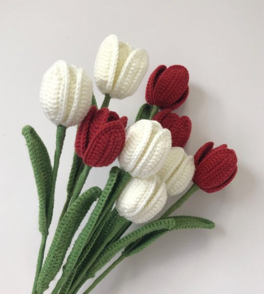 Hoa tulip len ghép cánh